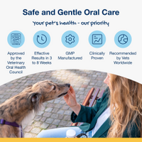 Thumbnail for ProDen PlaqueOff Soft Chews for S/M Dogs - 120 chews, 90 g