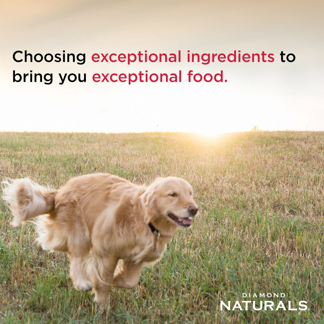 Diamond Naturals Large Breed Adult Dog Chicken & Rice Formula - 15 Kg (33 lbs)