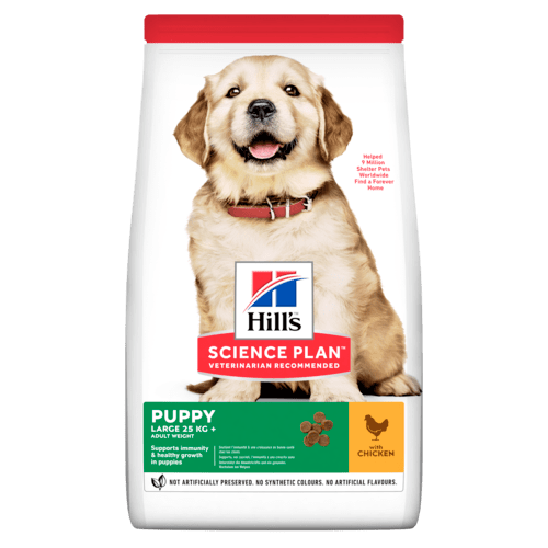 Hill’s Science Plan Large Breed Puppy Food With Chicken Value Pack (16kg)