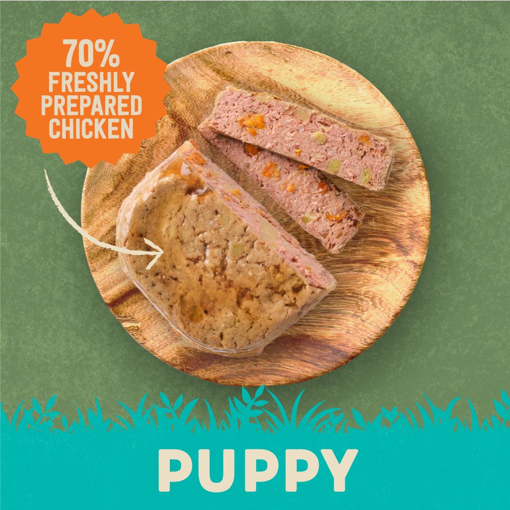 Harringtons Chicken & Potato Grain Free Wet Puppy Food 380g - 380G