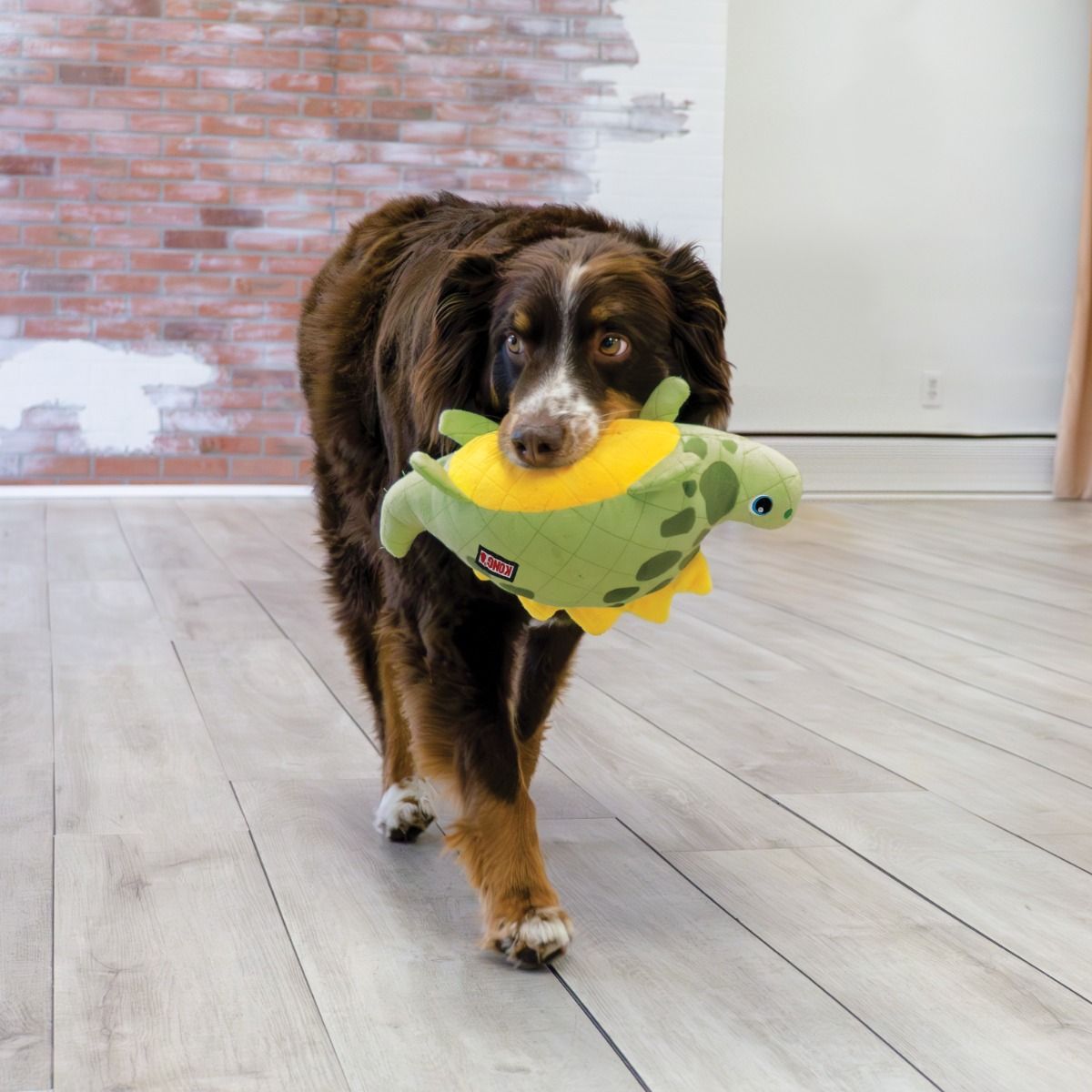 Kong Dynos Roars Dog Toy Green - Green M/L
