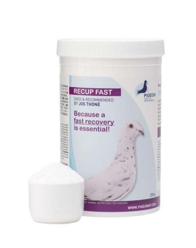 Recup Fast Powder 250gm
