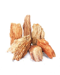 Thumbnail for Red Wood Fossil - Small / 12-18CM / box