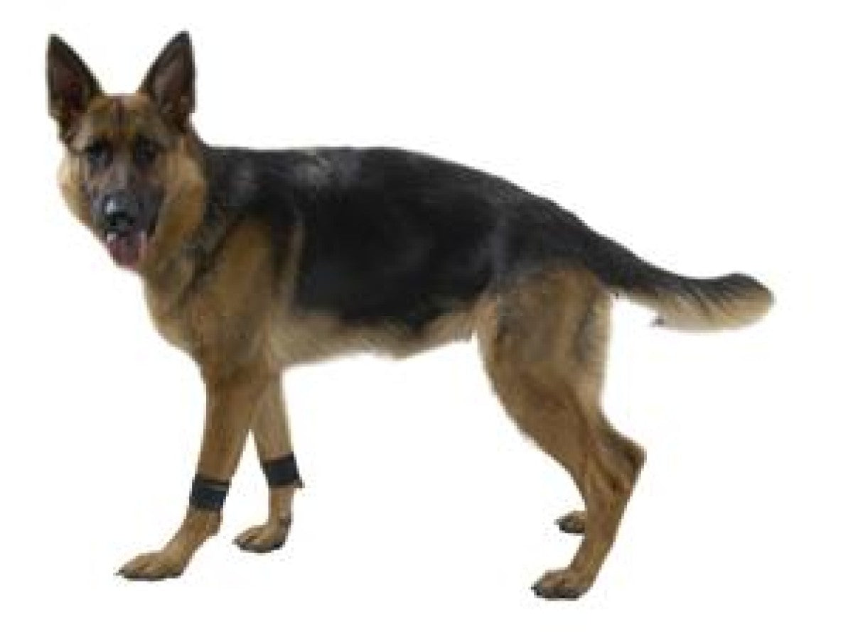 Rehab weight cuffs for dogs Small