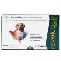 Revolution for Large dogs 3 doses 40.1–85 lb (18.1-38.6 kg)