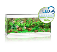 Thumbnail for Rio 240 LED - White