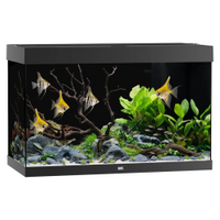 Thumbnail for Rio 290 LED Black