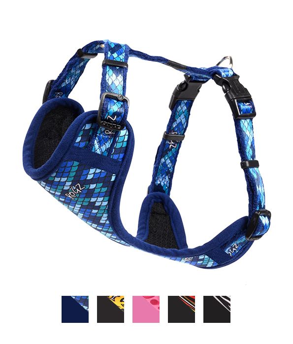 Rogz Fashion Dog Harness - BLUE Medium
