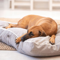 Thumbnail for Rogz Indoor Flat Dog Bed - NATURAL Large