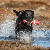 Thumbnail for Rogz Lighthouse Fetch Dog Toy - RED/WH 24CM