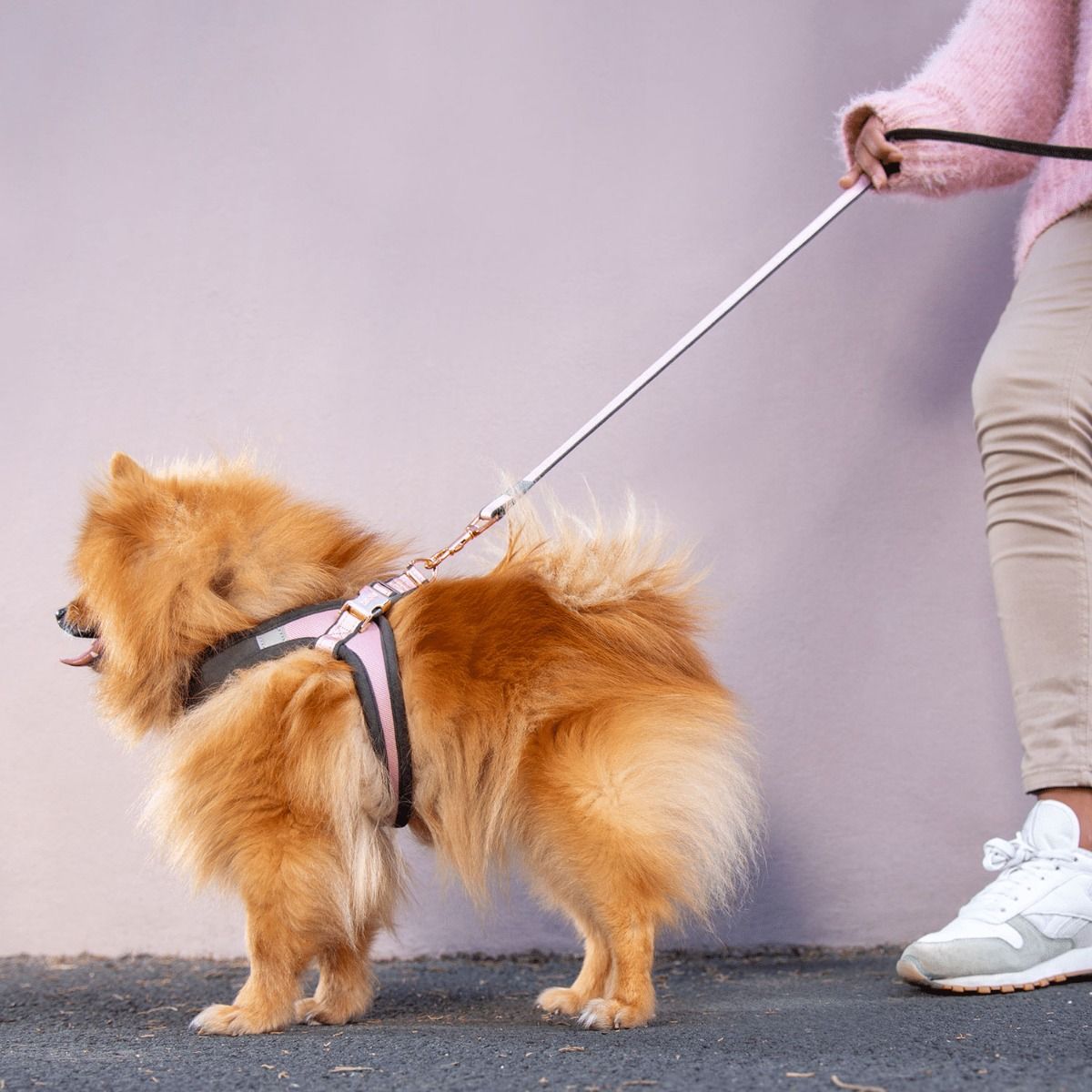 Rogz Urban Classic Dog Leash - PINK Medium