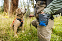 Thumbnail for Ruffwear Waist-Worn Treat Trader Dog Treats Pouch - GRAY