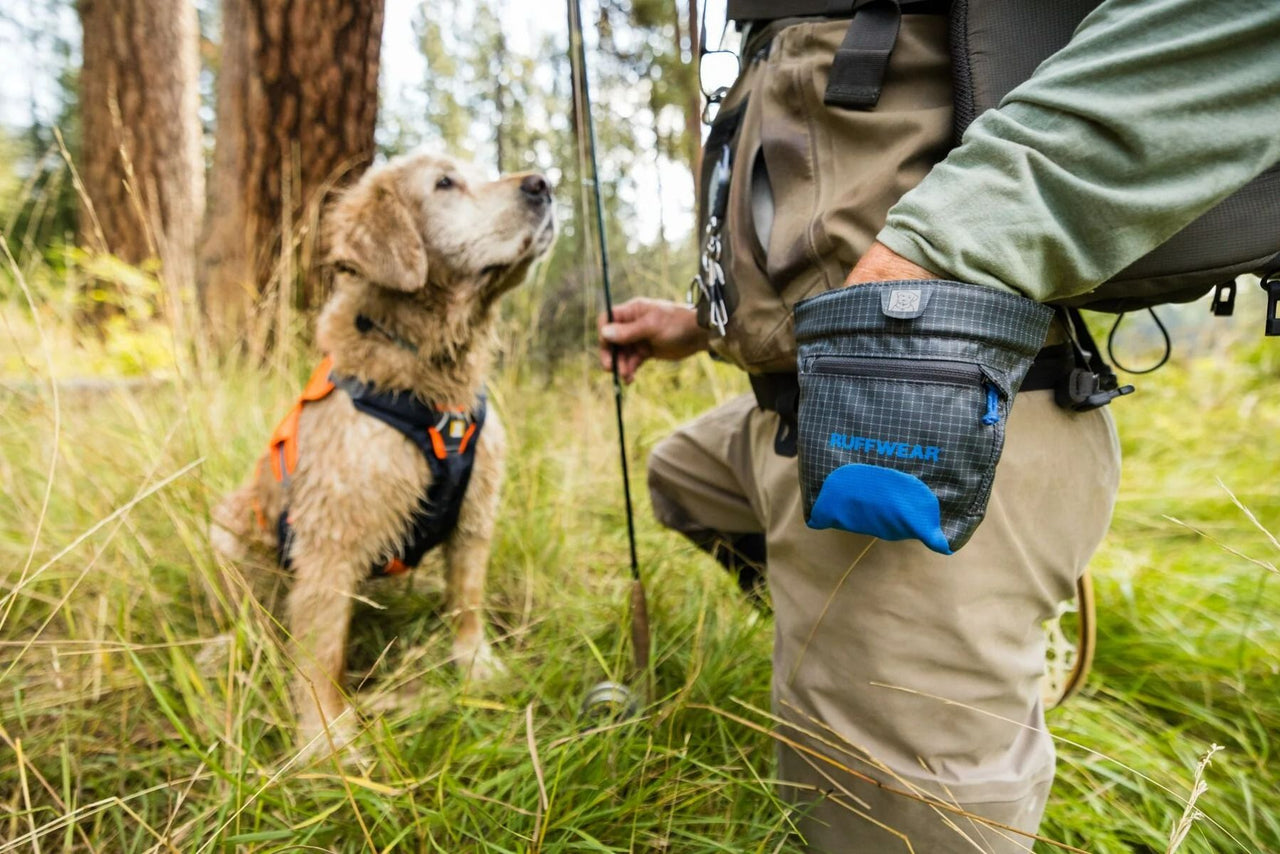 Ruffwear Waist-Worn Treat Trader Dog Treats Pouch - Blue Pool