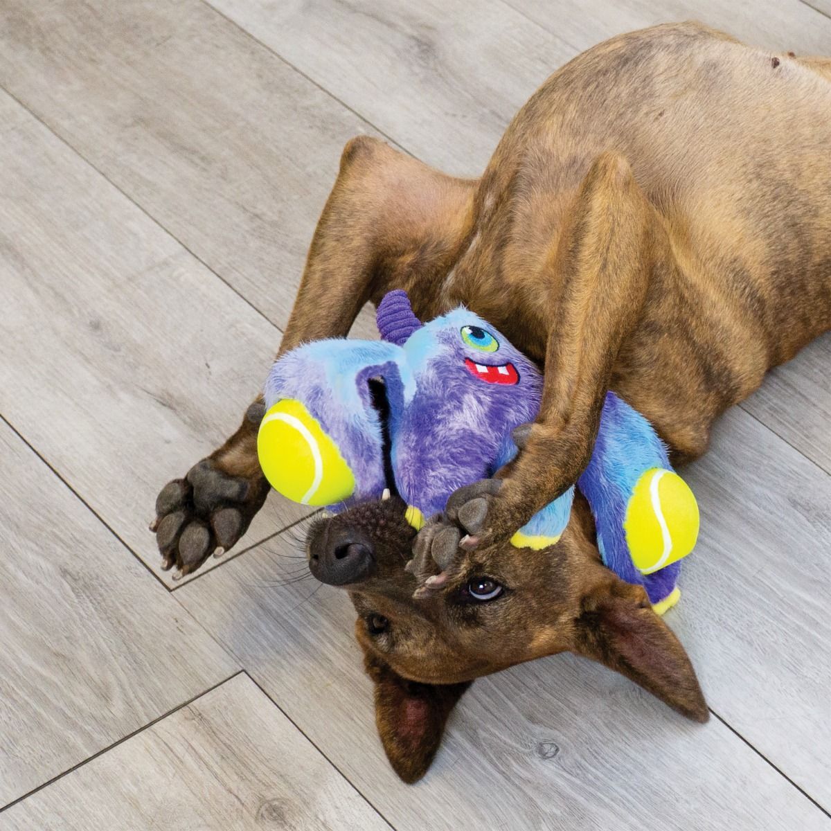 Kong Woozles Monster Squeaker Plush Dog Toy - Medium