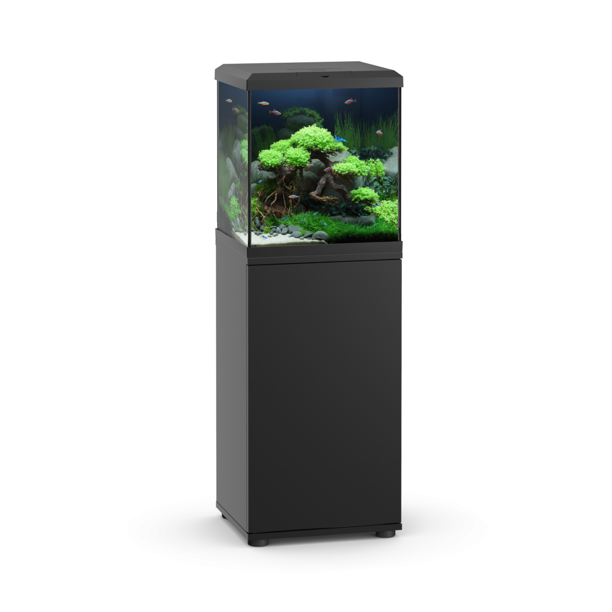 SBX Vio Cube 54 Black