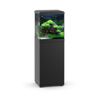 SBX Vio Cube 54 Black