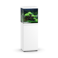SBX Vio Cube 54 White