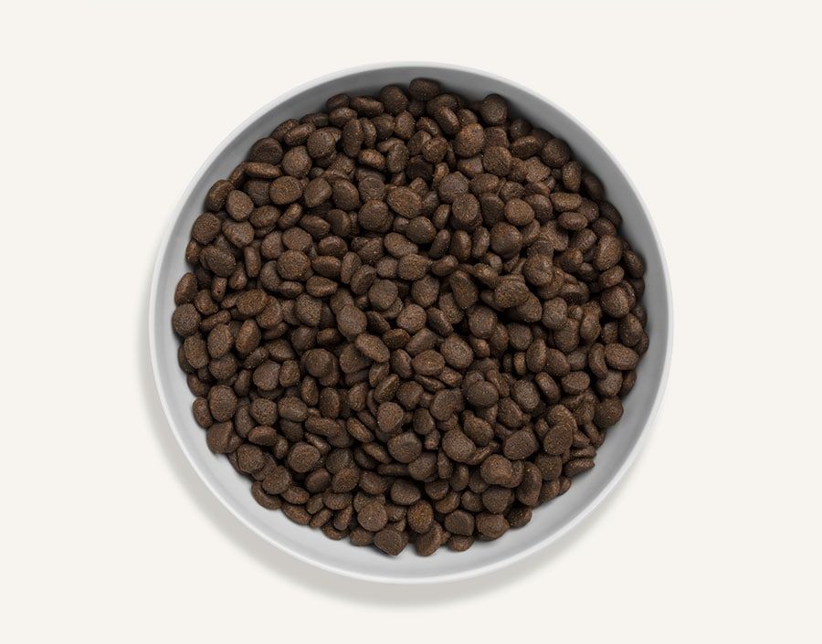 Canagan Scottish Salmon Dry Cat Food - 4KG