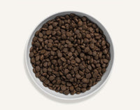 Thumbnail for Canagan Scottish Salmon Dry Cat Food - 4KG