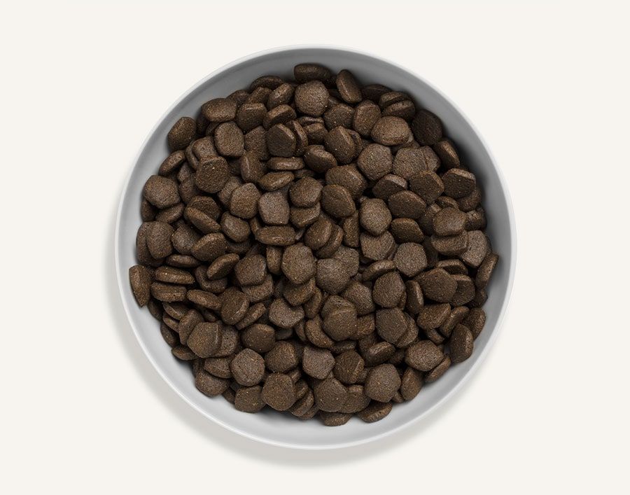 Canagan Scottish Salmon Dry Dog Food - 12kg