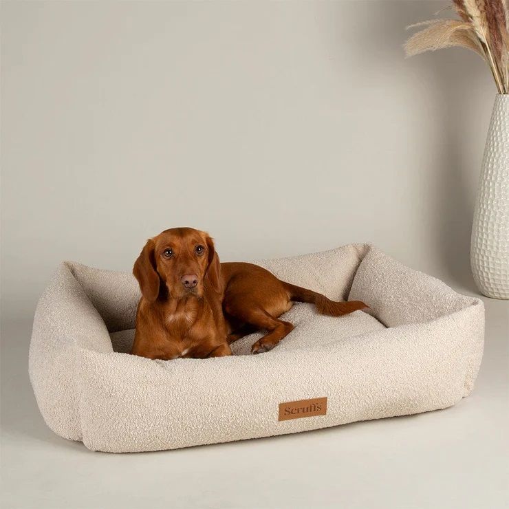 Scruffs Boucle Box Dog Bed - Ivory Medium