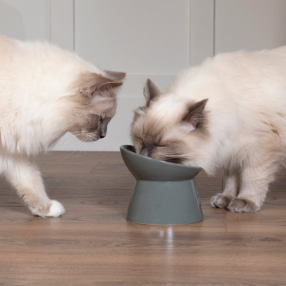 Scruffs Classic Raised Feeder Cat Bowl - Grey 12cm