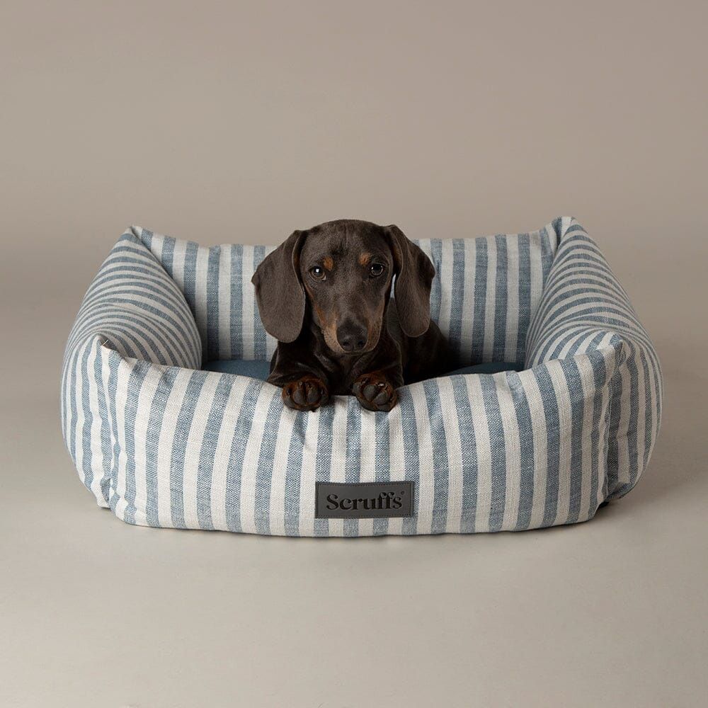 Scruffs Coastal Box Dog Bed - Blue Medium