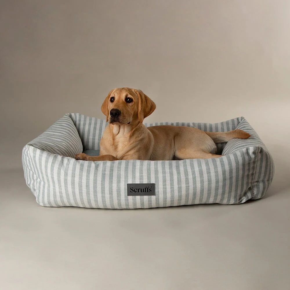 Scruffs Coastal Box Dog Bed - Blue Medium