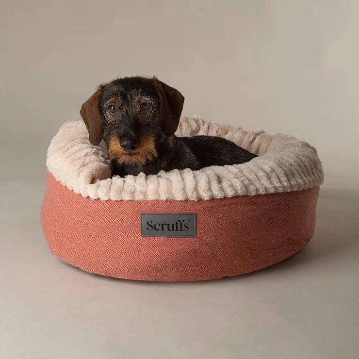 Scruffs Ellen Donut Dog Bed - Terracotta Medium