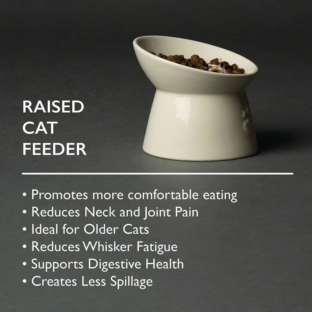 Scruffs Icon Raised Feeder Cat Bowl - 12cm