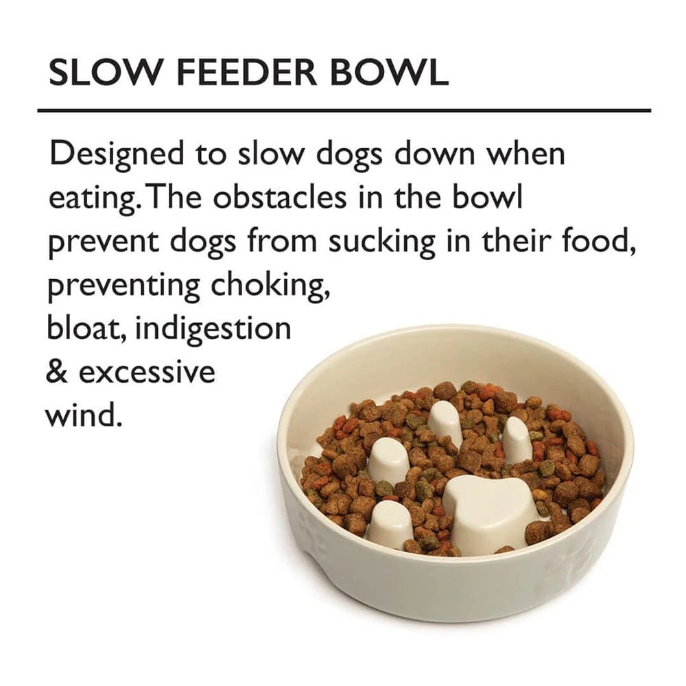 Scruffs Icon Slow Feeder Cream Pet Bowl 20cm - Cream 20cm