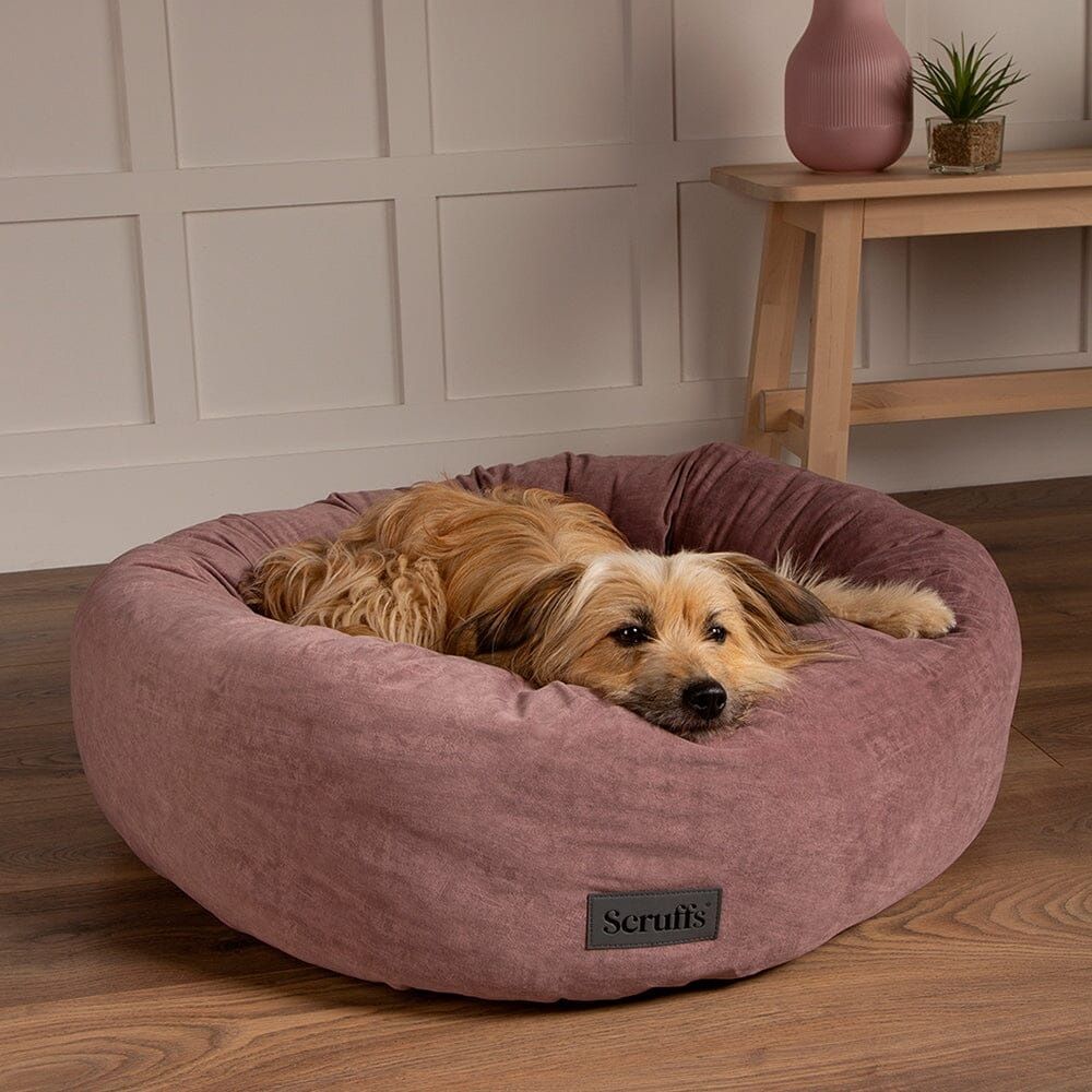 Scruffs Oslo Donut Dog Bed - Blush Pink Medium