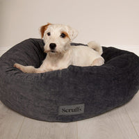 Thumbnail for Scruffs Oslo Donut Dog Bed - Stone Grey Medium