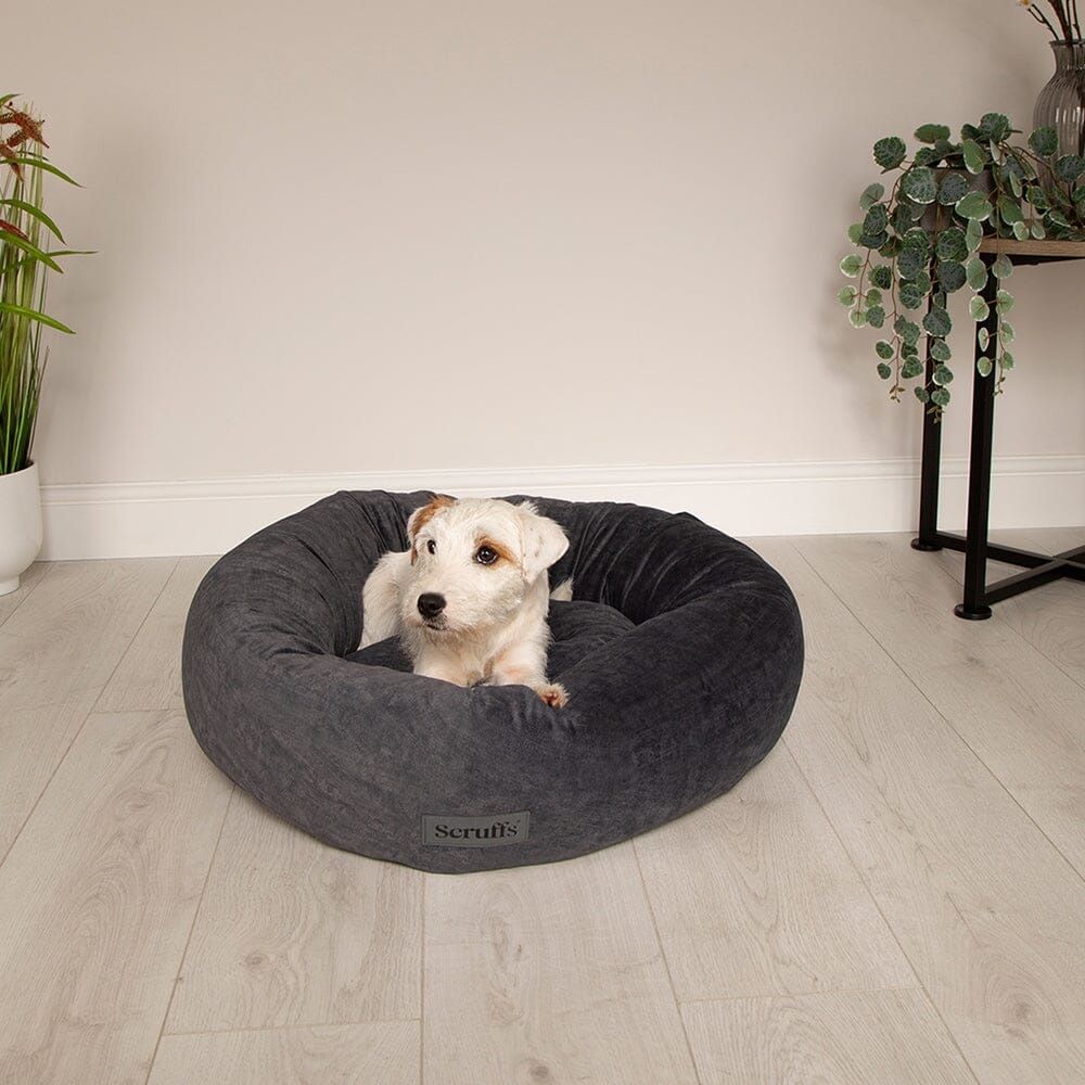 Scruffs Oslo Donut Dog Bed - Stone Grey Medium