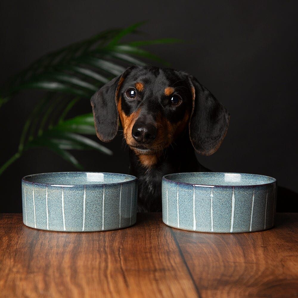 Scruffs Reactive Glaze Dog Bowl - Pinstripe Graphite 15cm