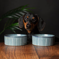 Thumbnail for Scruffs Reactive Glaze Dog Bowl - Pinstripe Graphite 15cm