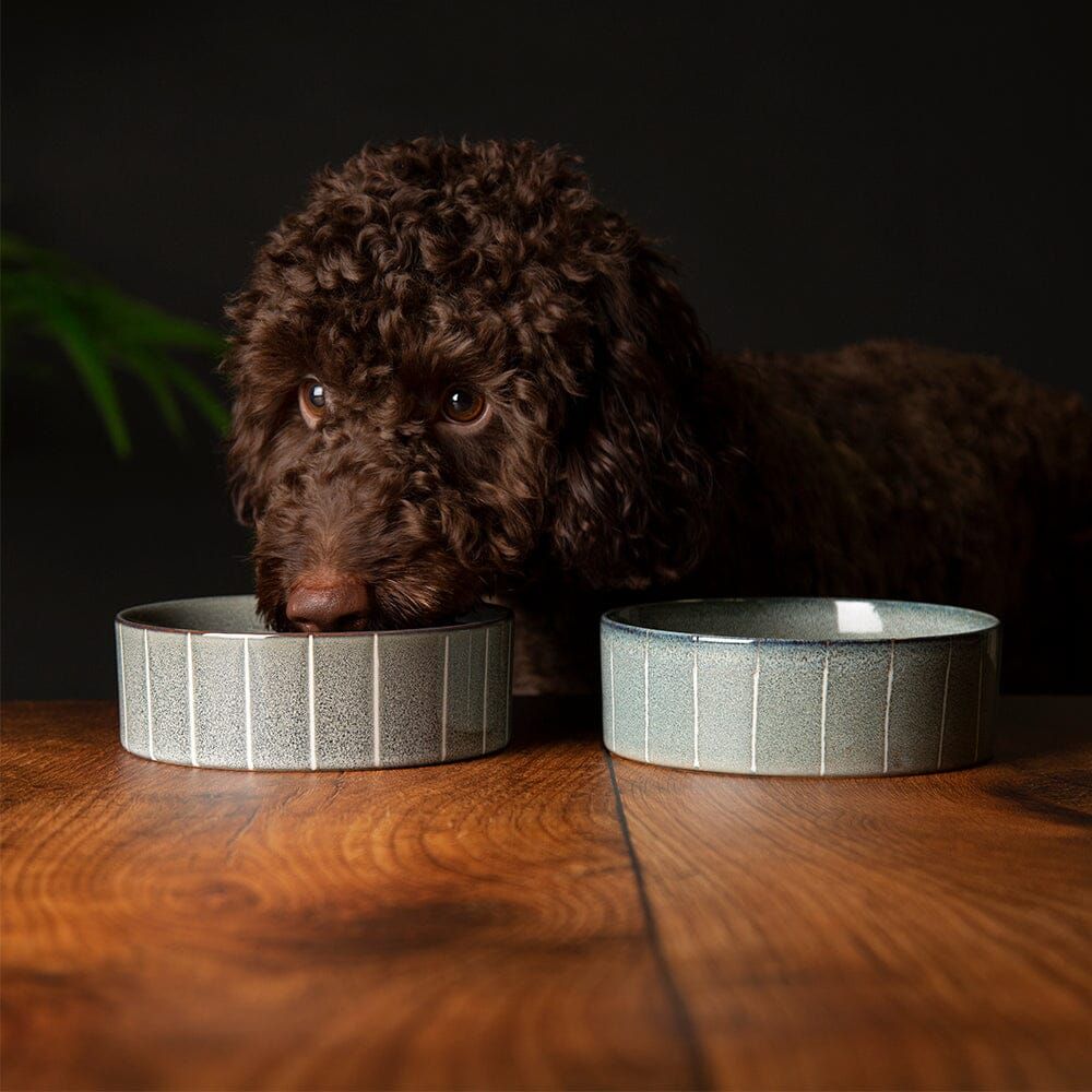 Scruffs Reactive Glaze Dog Bowl - Pinstripe Graphite 15cm