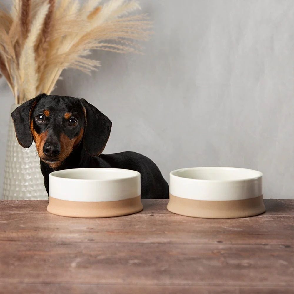 Scruffs Scandi Non-Tip Dog Bowl - Cream 20cm