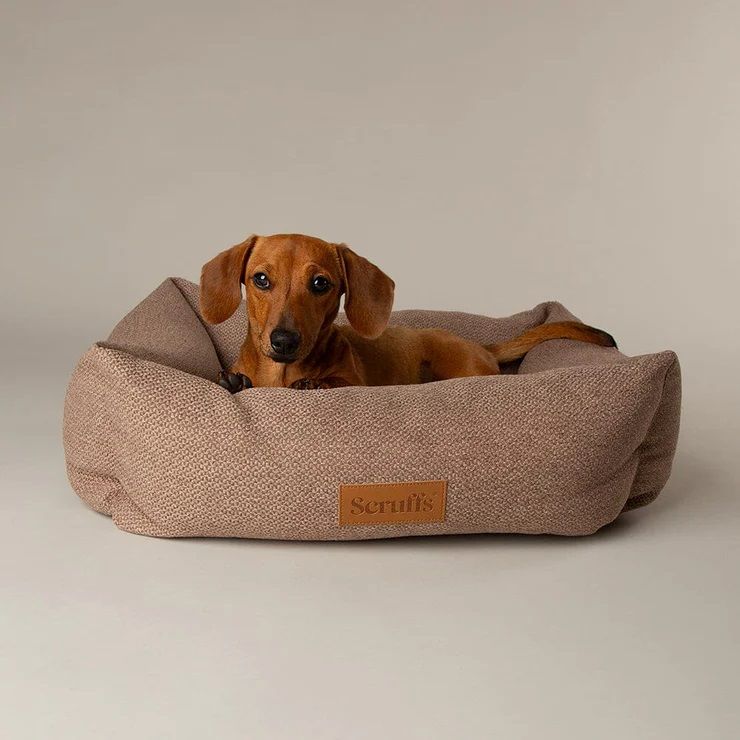 Scruffs Seattle Box Dog Bed - Sienna Brown Medium