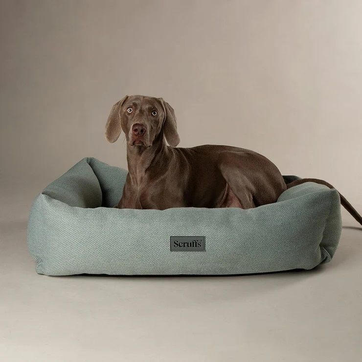 Scruffs Seattle Box Dog Bed - Topaz Green Medium