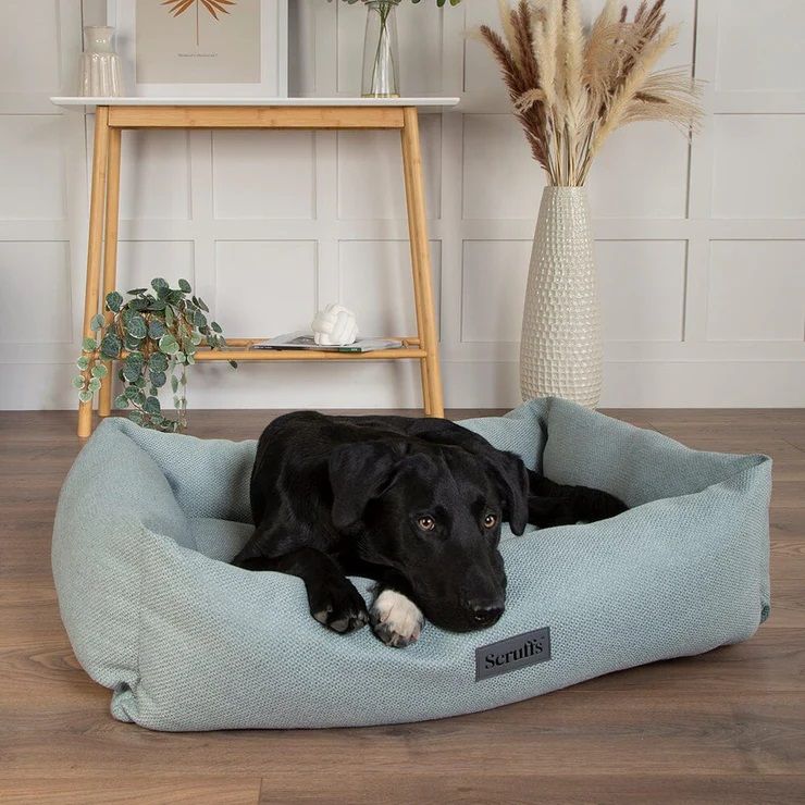 Scruffs Seattle Box Dog Bed - Topaz Green Medium