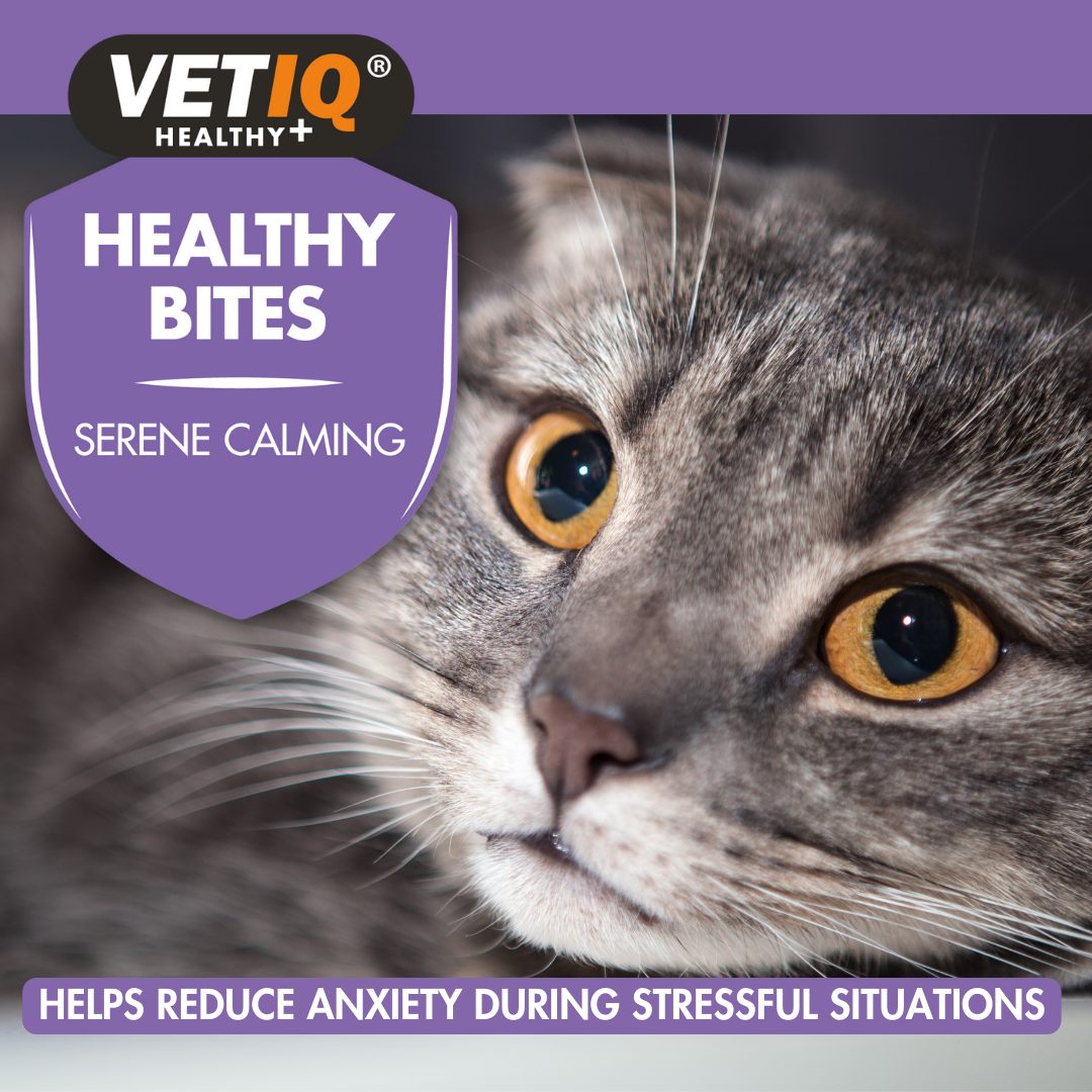 VetIQ Healthy Bites Serene Calming Cat Treats 65g - 65g