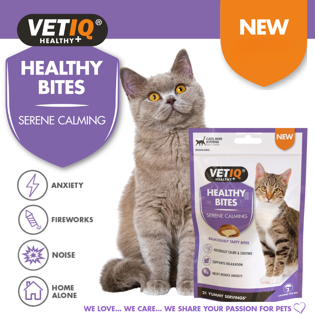 VetIQ Healthy Bites Serene Calming Cat Treats 65g - 65g