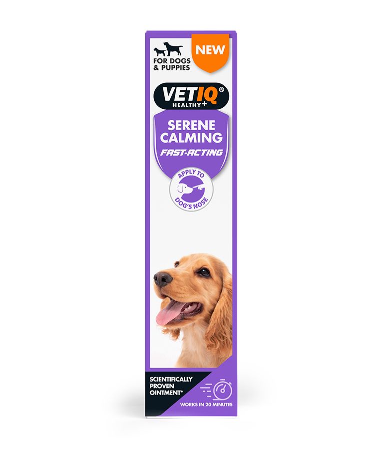 VetIQ Serene Calming Dog Ointment 50g - 50g