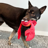 Thumbnail for Kong Shakers Shimmy Crab Plush Dog Toy - Medium