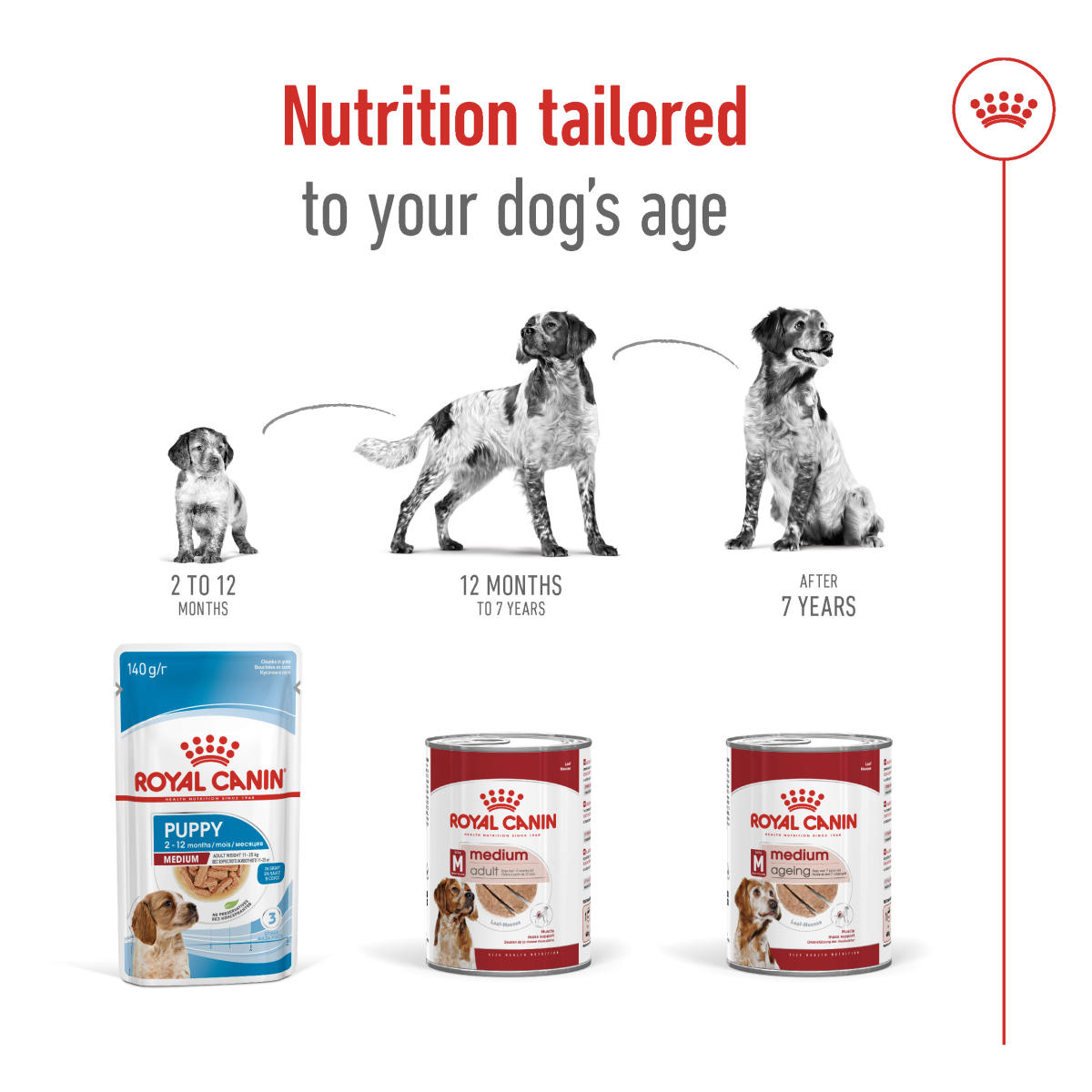 Size Health Nutrition Medium Adult (Wet Food - Can) 12 x 410 g