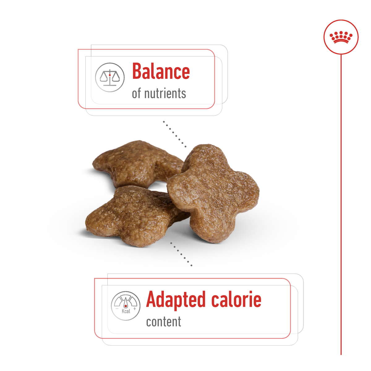 Size Health Nutrition Mini Adult 8+ 2 KG