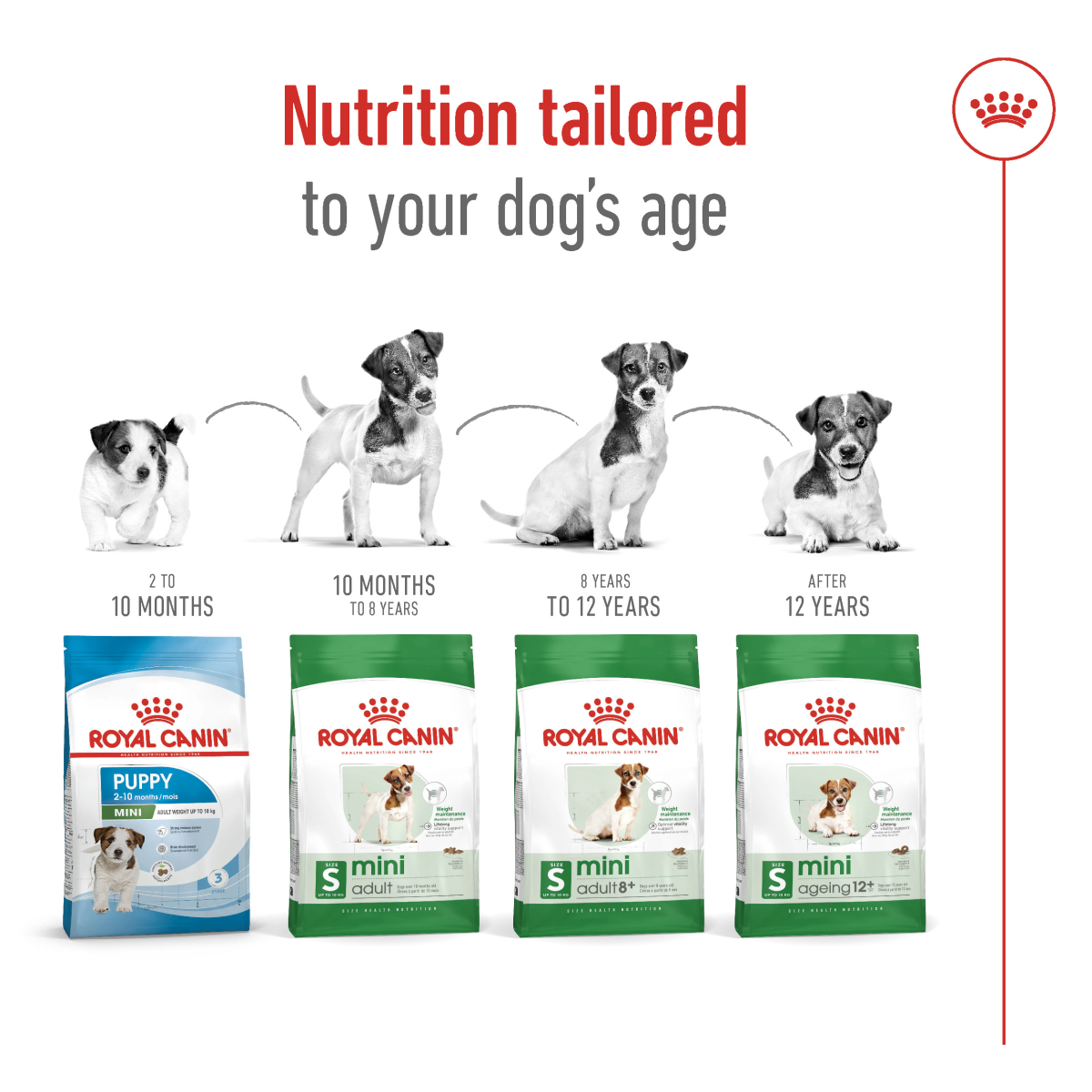 Size Health Nutrition Mini Adult 8+ 2 KG