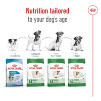 Thumbnail for Size Health Nutrition Mini Adult 8+ 2 KG