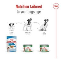 Thumbnail for Size Health Nutrition Mini Adult (Wet Food - Can) 12 x 195 g